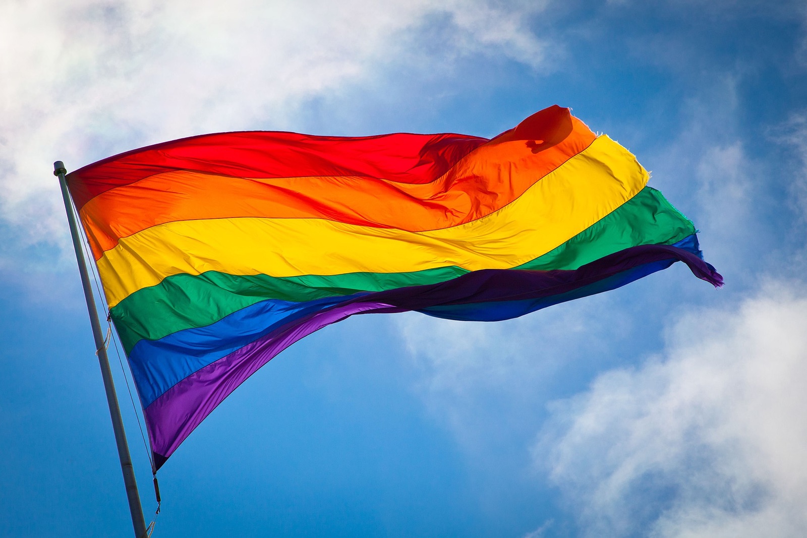 LGBT Flag - New Naratif
