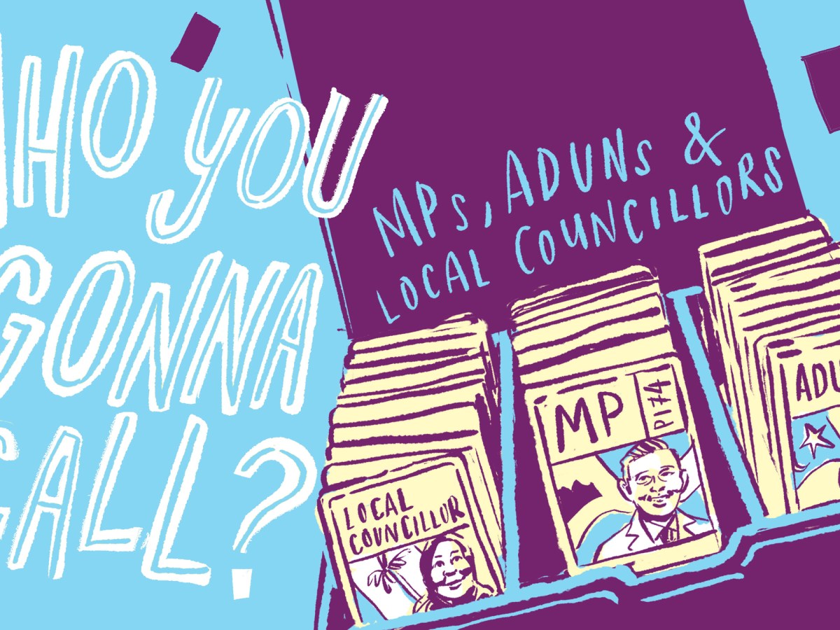 Who You Gonna Call? MPs, ADUNs, and Local Councillors in Malaysia