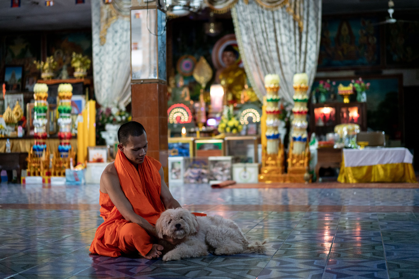 A monk at a pagoda in Phnom Penh with a community-owned dog. Unwanted pets are often abandoned at pagodas, frequently becoming a collective responsibility. Andy Ball