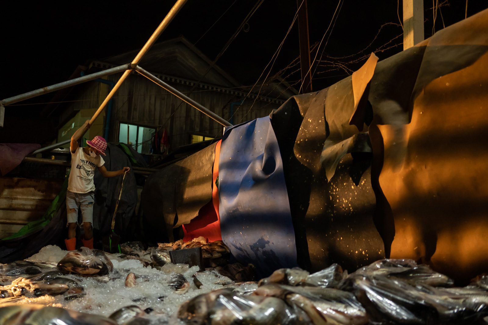 A worker offloads a truck importing fish from Vietnam to Cambodia at Phnom Penh’s Prek Pnov Market.