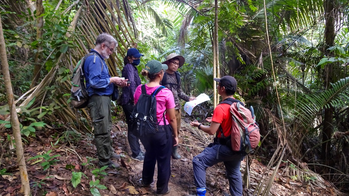 Members of the Shah Alam Community Forest Society and consultants visit the forest in Malaysia’s Selangor State in November 2021.