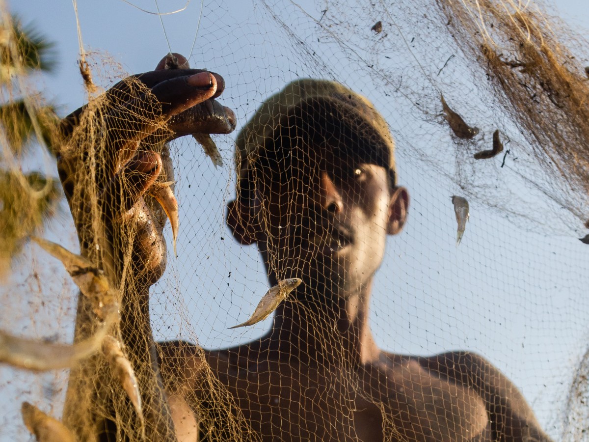 A shirtless fisherman wearing a ball cap holds up a fishing net and pulls out tiny silver fish caught in the Tonle Sap Lake in Siem Reap Province in December 2017. Roun Ry