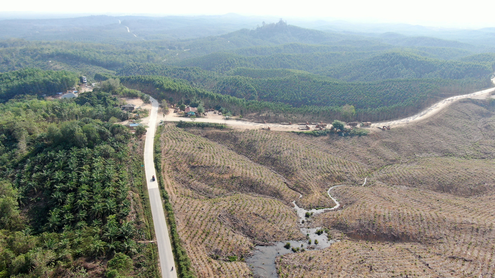 Area konsesi sebuah hutan tanaman industri milik PT. International Timber Corporation Indonesia Hutani Manunggal di Kecamatan Sepaku, Penajam Paser Utara, Kalimantan Timur, 2020. JATAM
