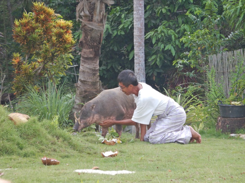 Ating is playing with Coco at his yard.