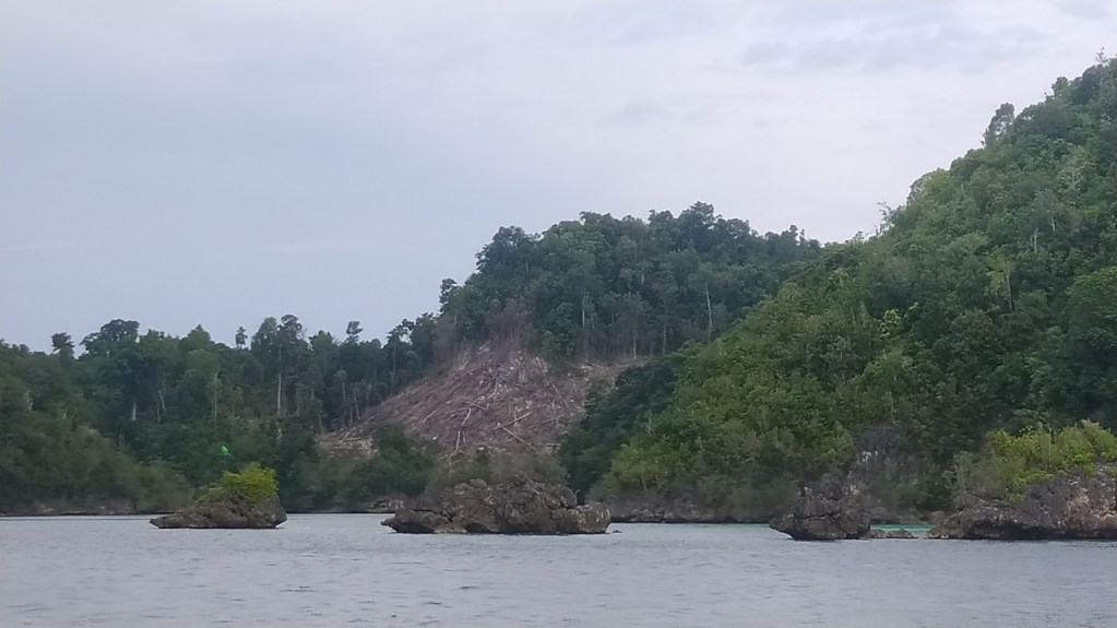The view along the way to Togean Islands shows the signs of logging.