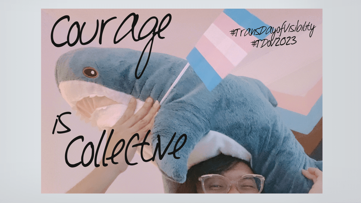 A photo of a blahaj Ikea shark plushie (the trans mascot) and a trans pride flag being held up high by Bonnibel Rambatan, who is only slightly visible. A progress pride flag can be seen in the background. The image is stylised in polaroid and has the text "Courage is Collective" and the hashtags for Transgender Day of Visibility 2023.